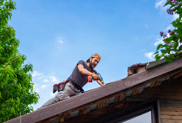 Best Gutter Installation and Repair  in Oglala, SD